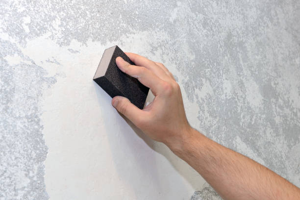 Forensic Mold Investigation in Palmer Heights, PA
