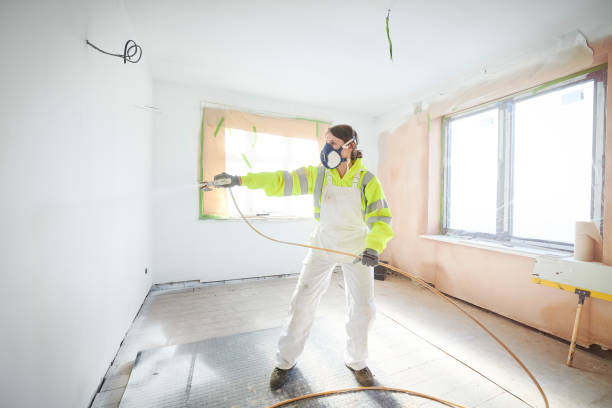 Best Basement Mold Removal  in Lmer Heights, PA