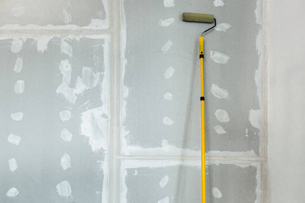 Best Mold Remediation for Vacation Homes  in Lmer Heights, PA