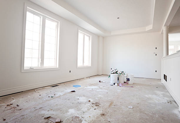Reliable Palmer Heights, PA Mold Removal Solutions