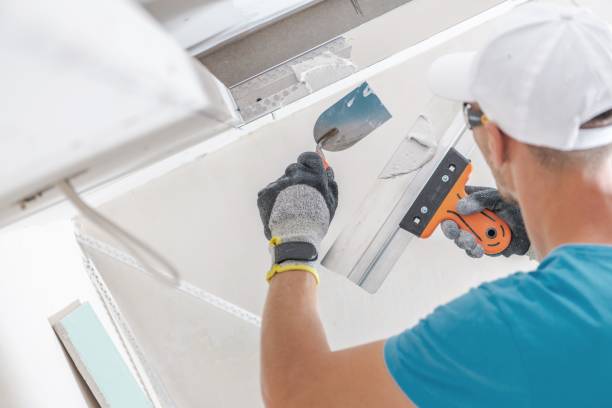 Mold Remediation for Vacation Homes in Palmer Heights, PA
